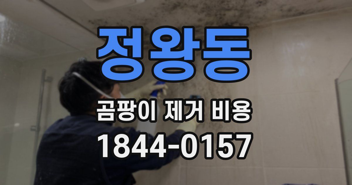 정왕동 곰팡이 제거 비용