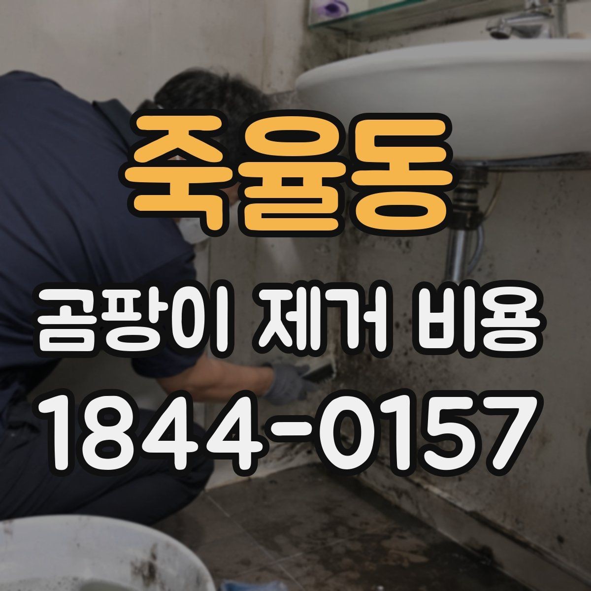 죽율동 곰팡이 제거 비용 현장별 맞춤 견적을 받아보는 방법