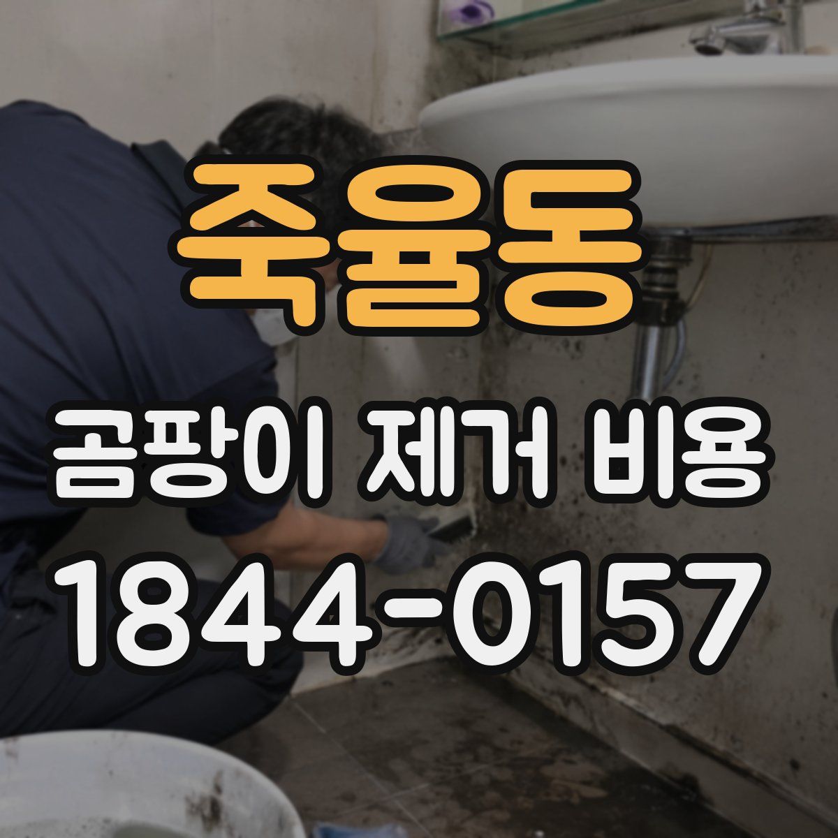 죽율동 곰팡이 제거 비용