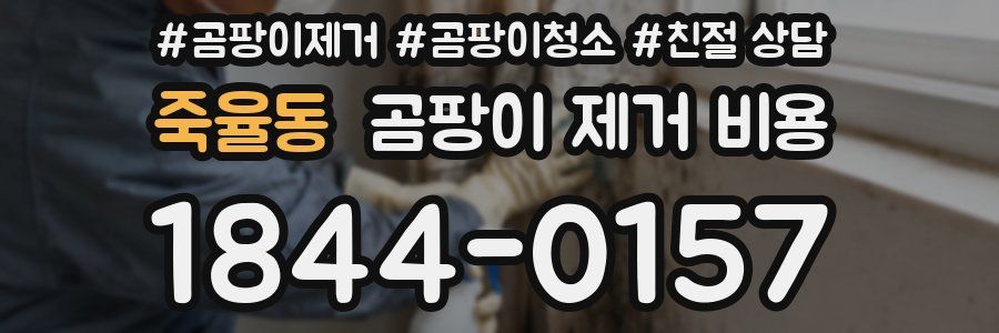 죽율동 곰팡이 제거 비용