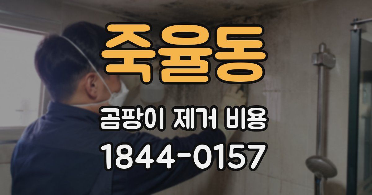 죽율동 곰팡이 제거 비용