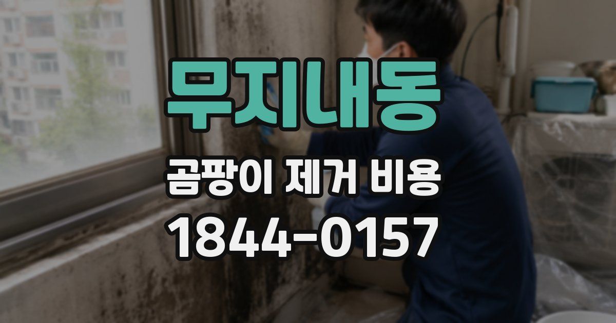 무지내동 곰팡이 제거 비용