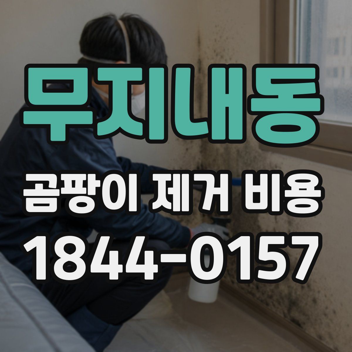 무지내동 곰팡이 제거 비용