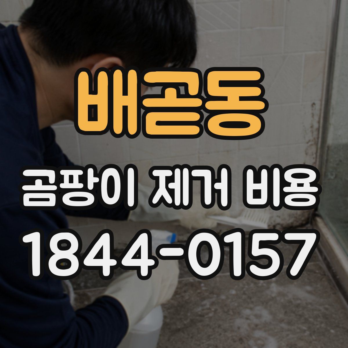 배곧동 곰팡이 제거 비용