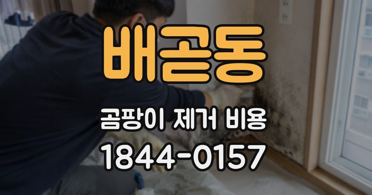 배곧동 곰팡이 제거 비용