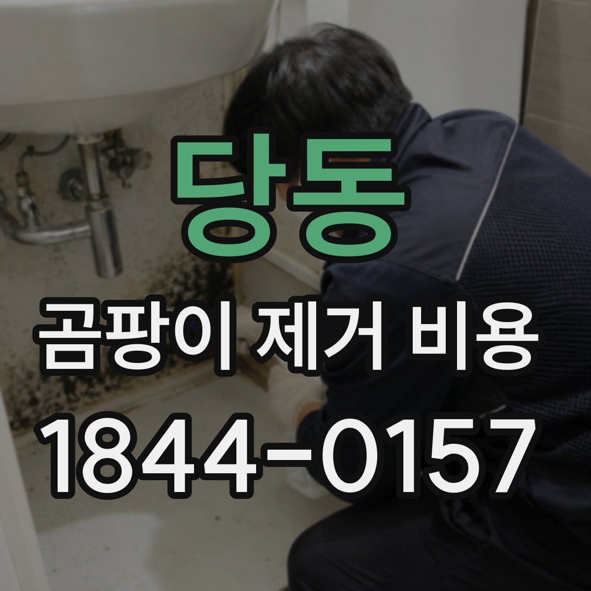 당동 곰팡이 제거 비용 비교 전 알아둘 항목