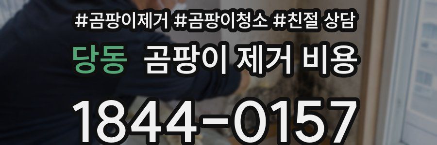 당동 곰팡이 제거 비용