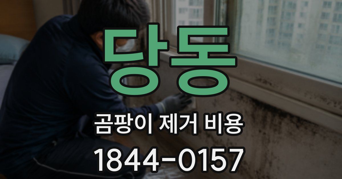 당동 곰팡이 제거 비용
