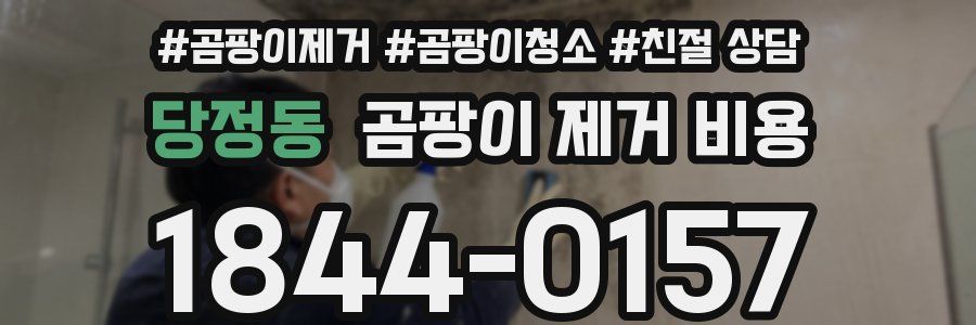 당정동 곰팡이 제거 비용