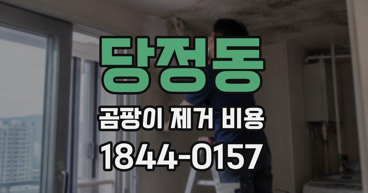 당정동 곰팡이 제거 비용