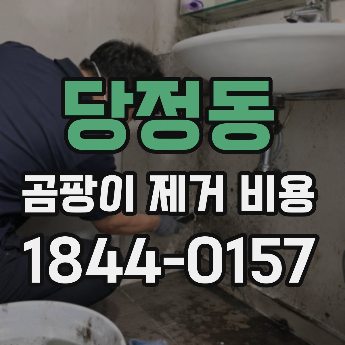 당정동 곰팡이 제거 비용