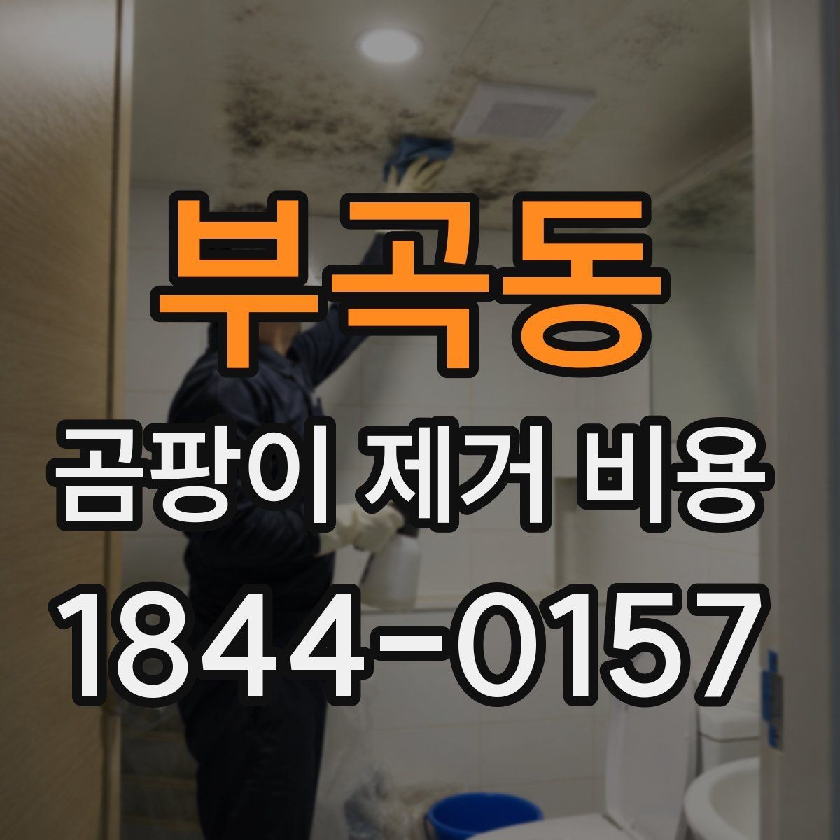 부곡동 곰팡이 제거 비용 지역별 차이와 확인할 점