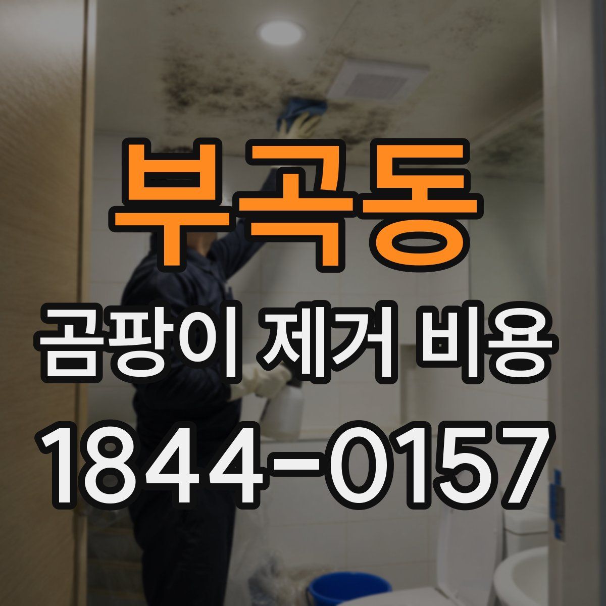 부곡동 곰팡이 제거 비용