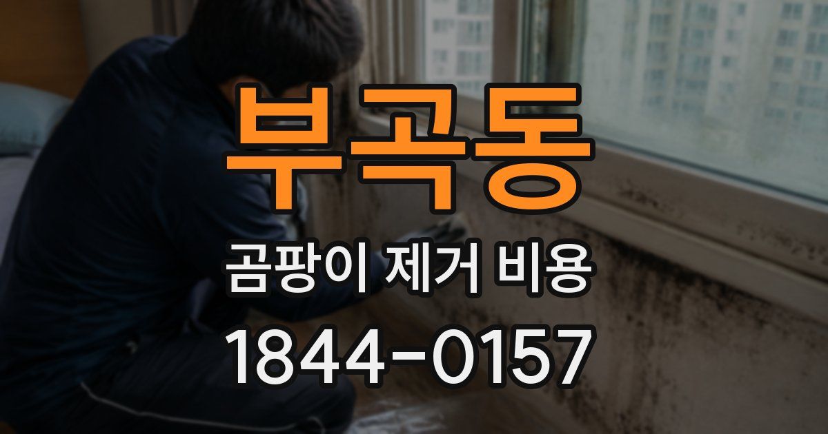 부곡동 곰팡이 제거 비용