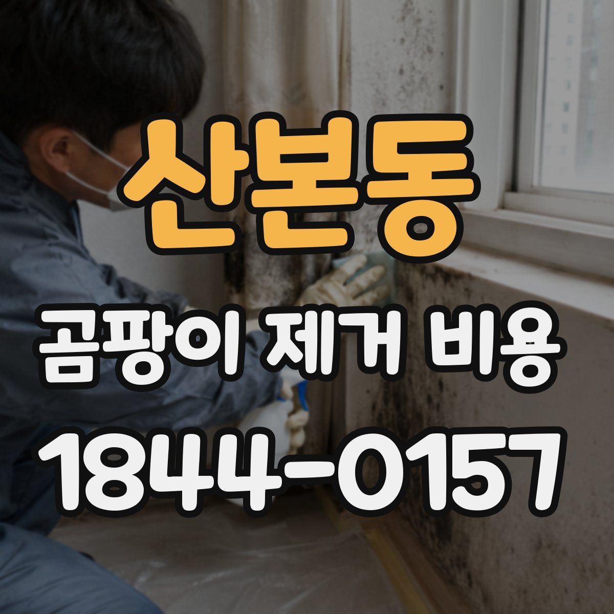 산본동 곰팡이 제거 비용