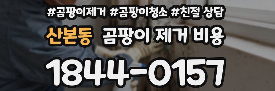 산본동 곰팡이 제거 비용