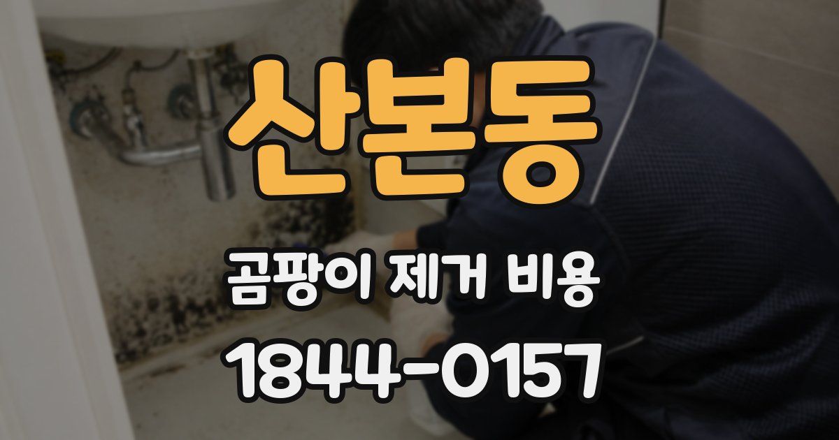 산본동 곰팡이 제거 비용