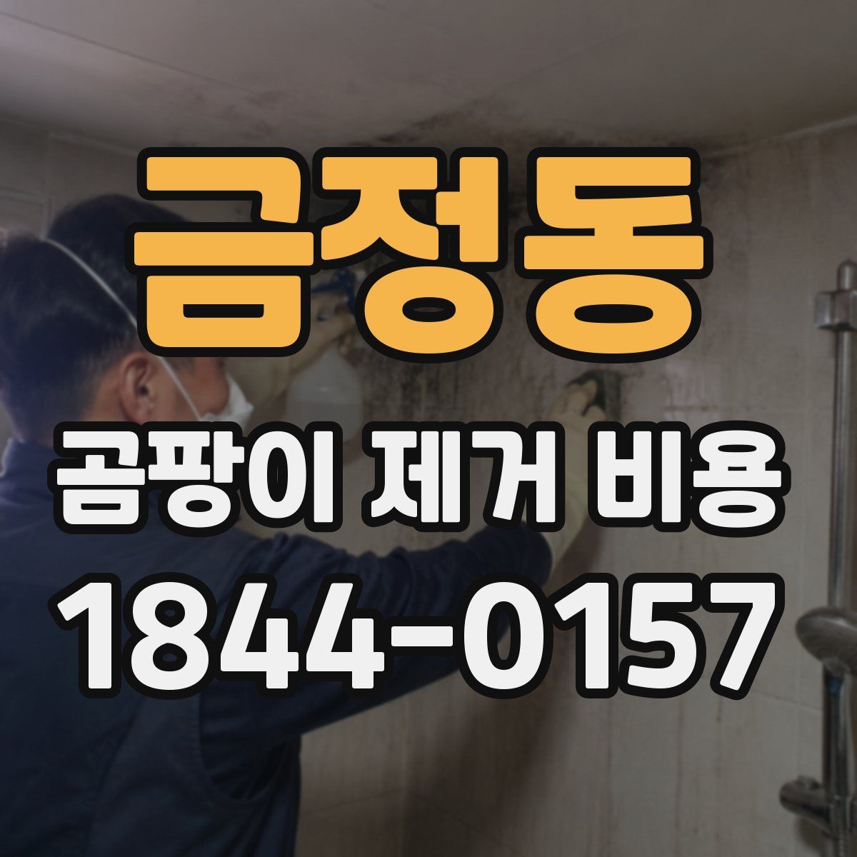 금정동 곰팡이 제거 비용