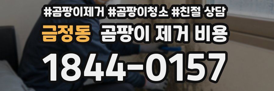 금정동 곰팡이 제거 비용