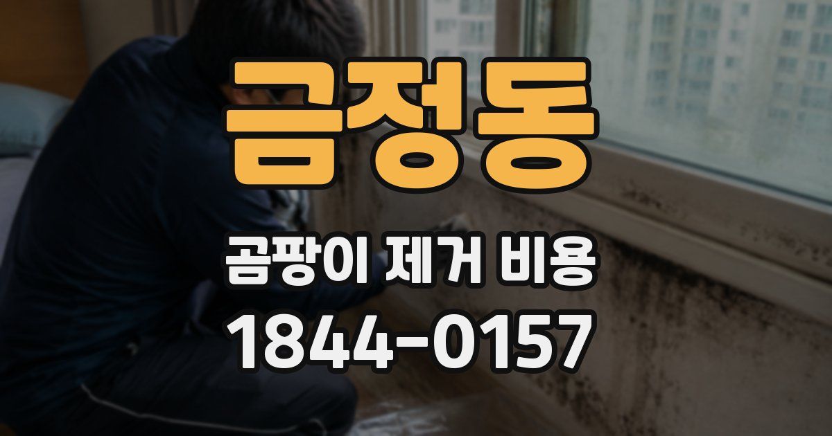 금정동 곰팡이 제거 비용