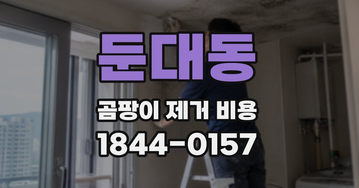 둔대동 곰팡이 제거 비용