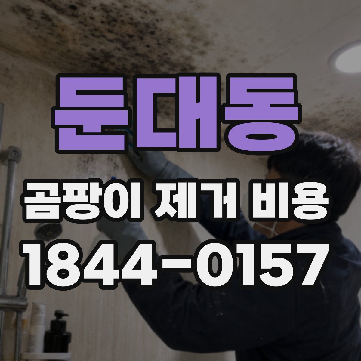 둔대동 곰팡이 제거 비용