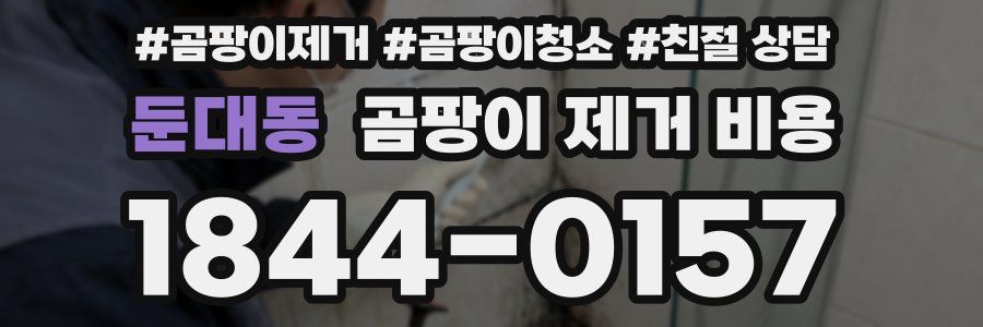 둔대동 곰팡이 제거 비용