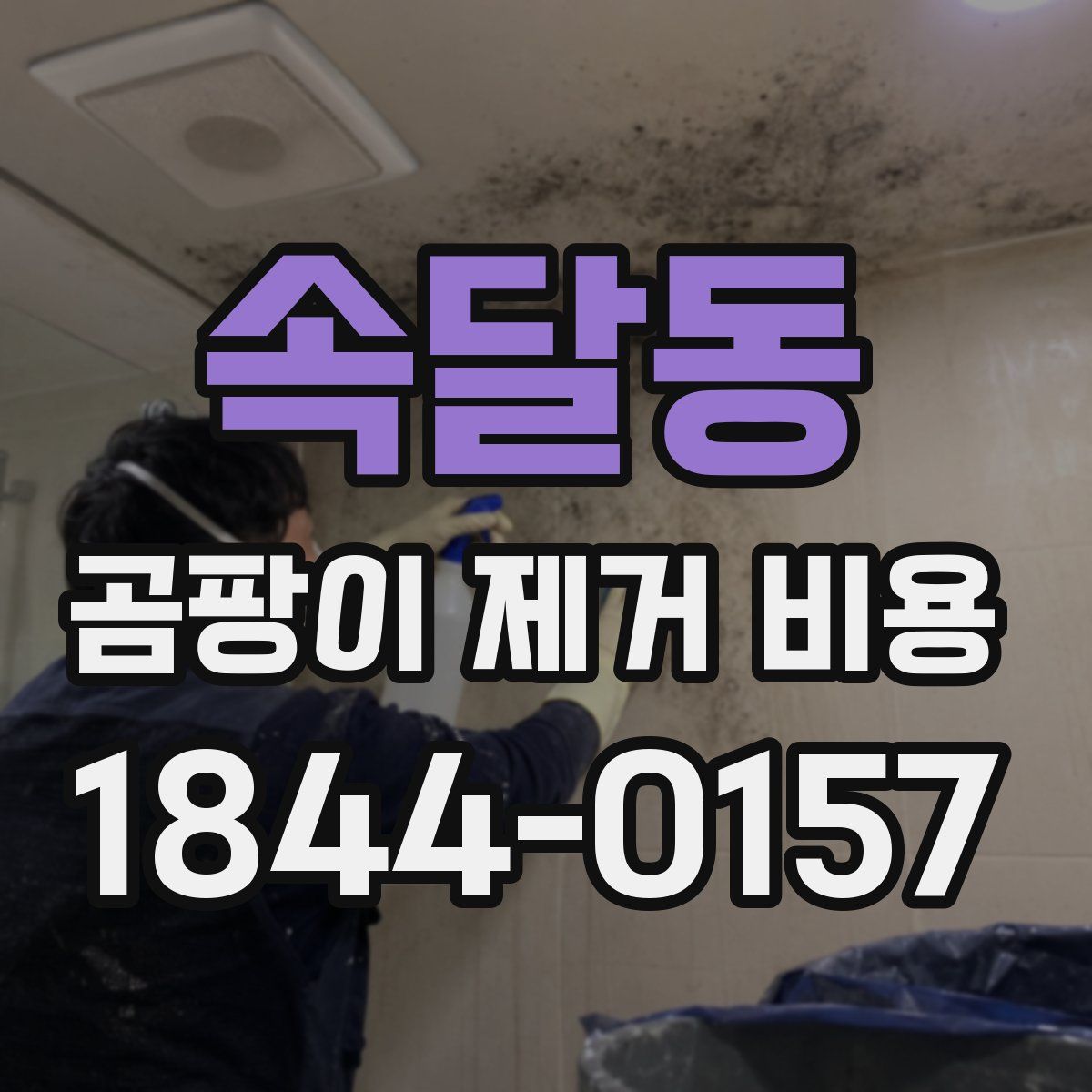 속달동 곰팡이 제거 비용