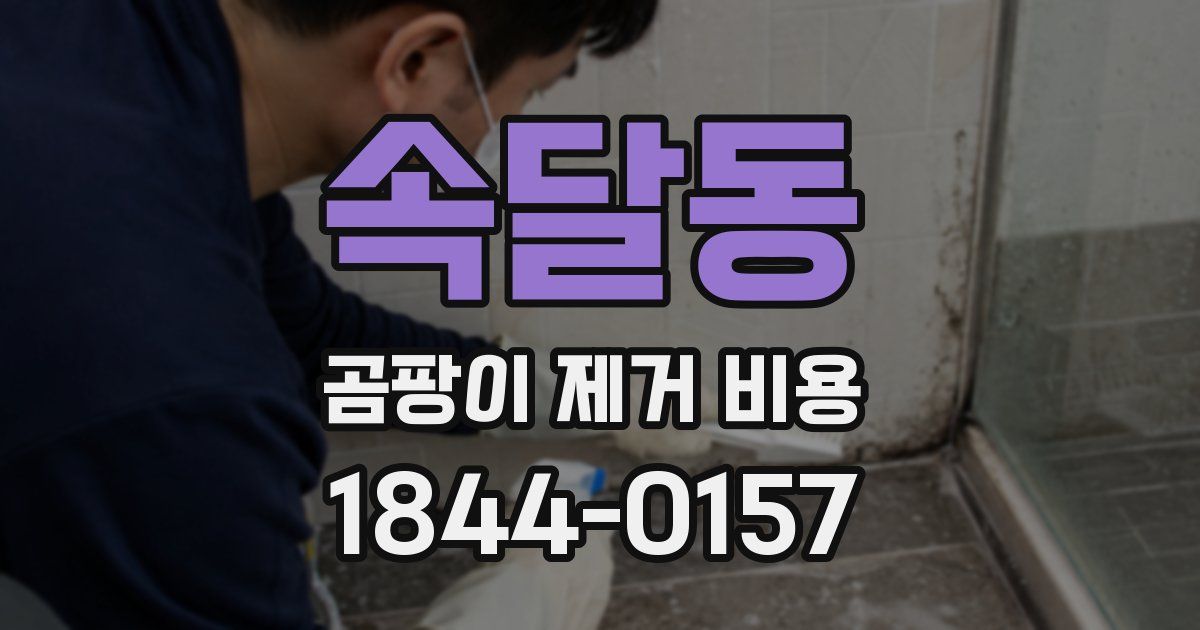 속달동 곰팡이 제거 비용