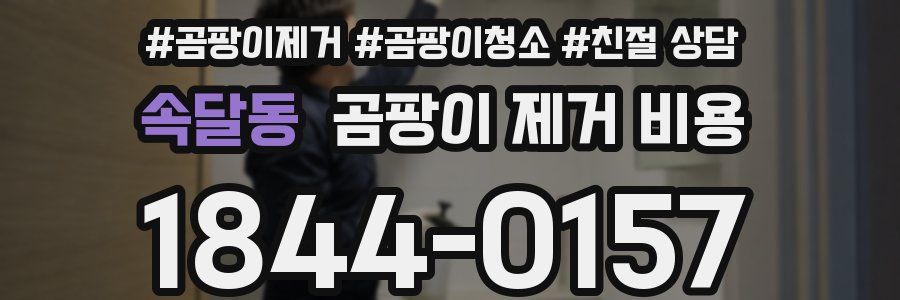 속달동 곰팡이 제거 비용