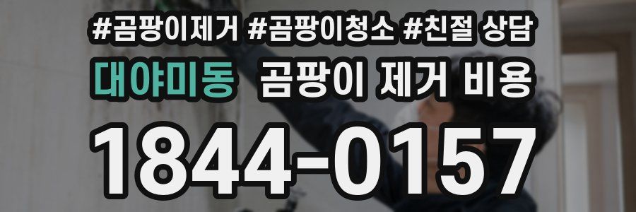 대야미동 곰팡이 제거 비용