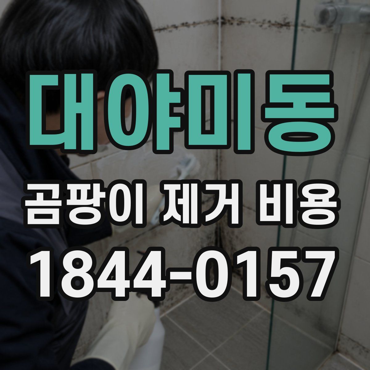 대야미동 곰팡이 제거 비용
