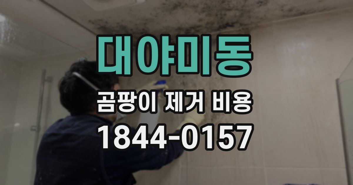 대야미동 곰팡이 제거 비용