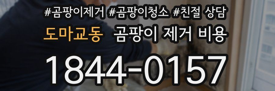도마교동 곰팡이 제거 비용