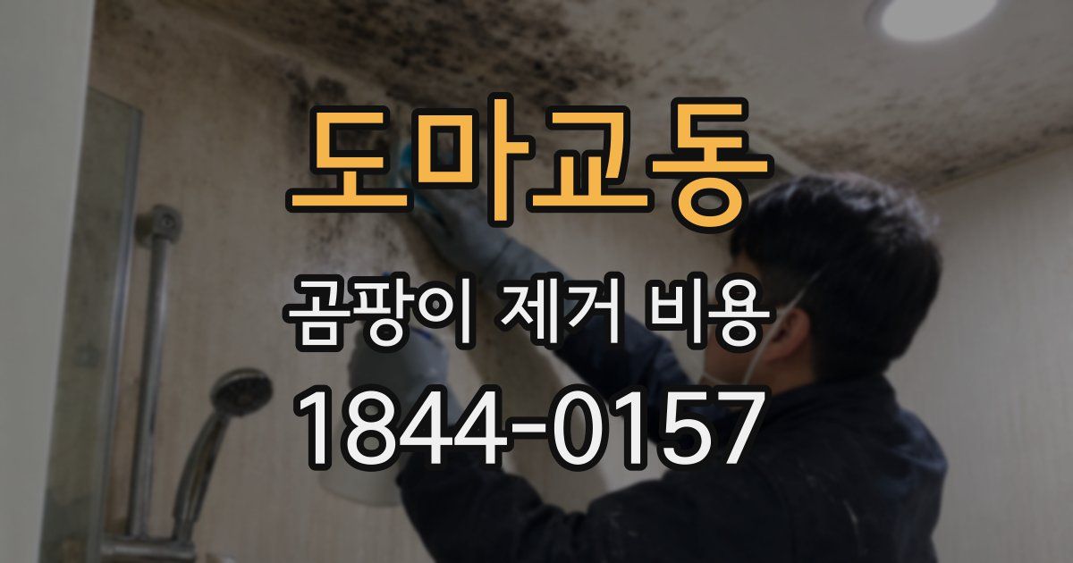 도마교동 곰팡이 제거 비용