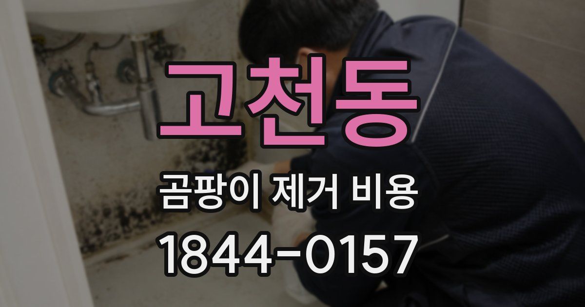 고천동 곰팡이 제거 비용