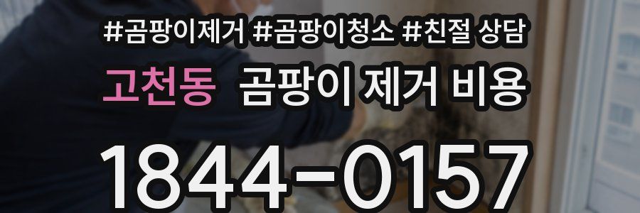 고천동 곰팡이 제거 비용