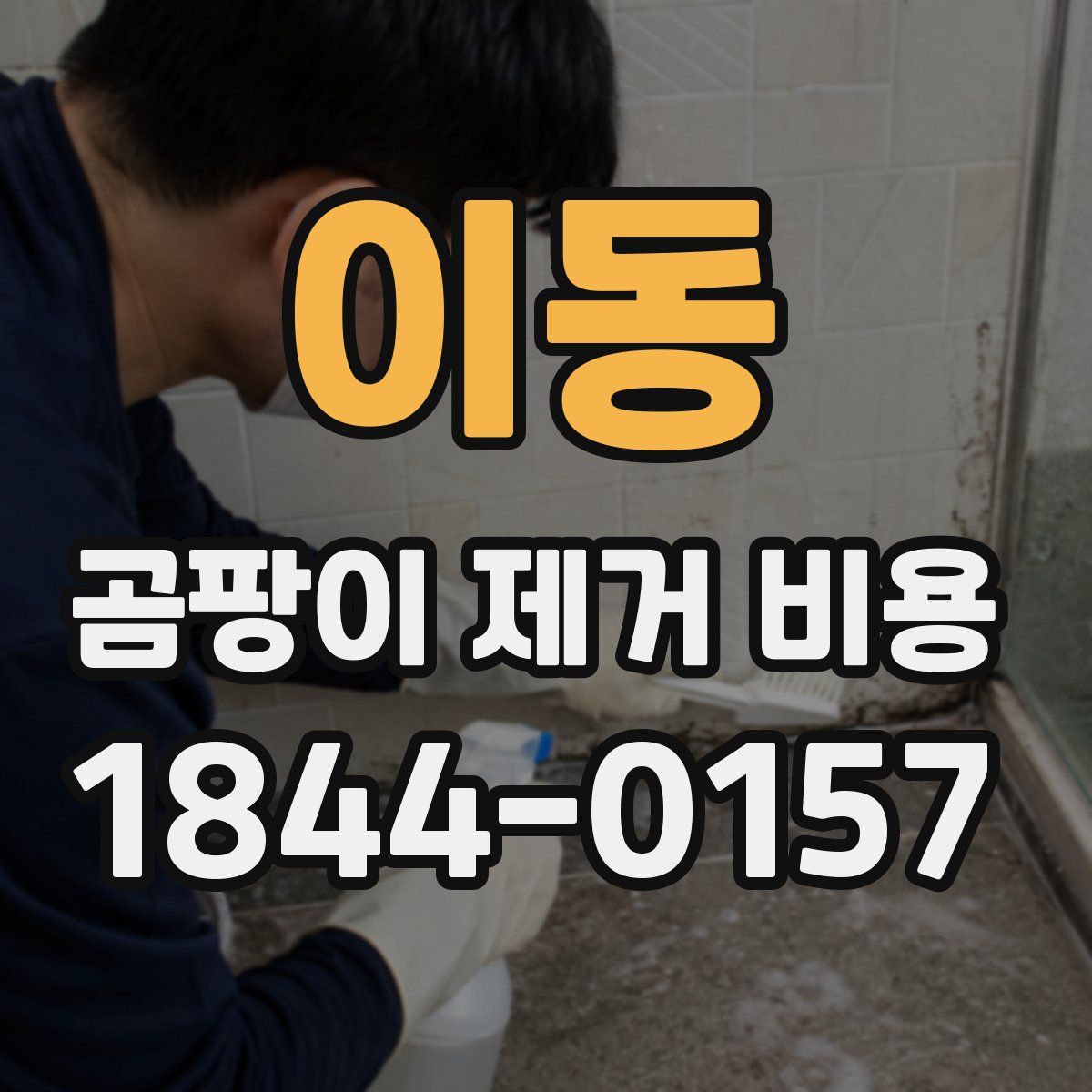 이동 곰팡이 제거 비용