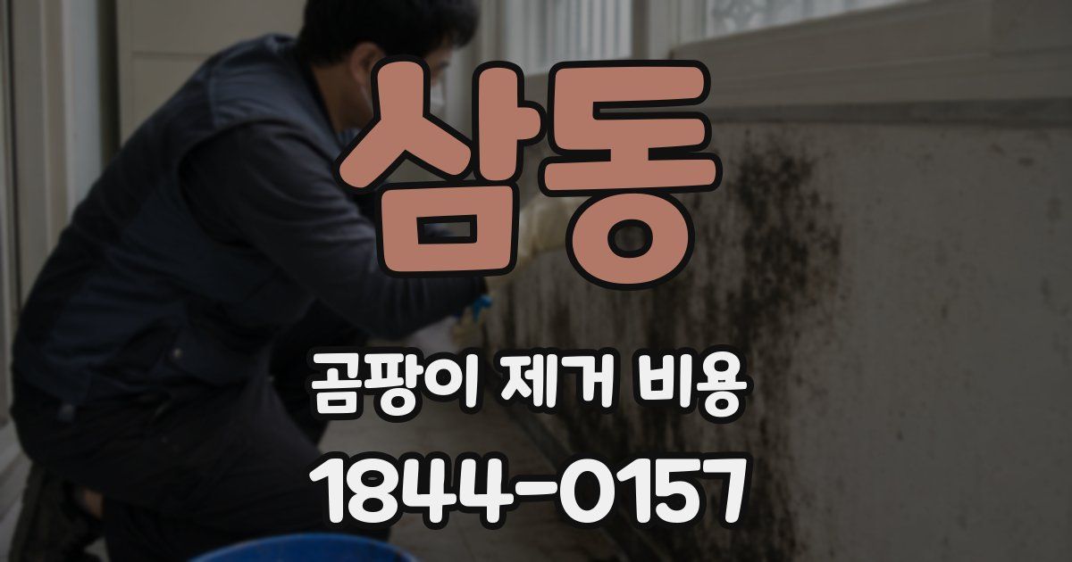 삼동 곰팡이 제거 비용