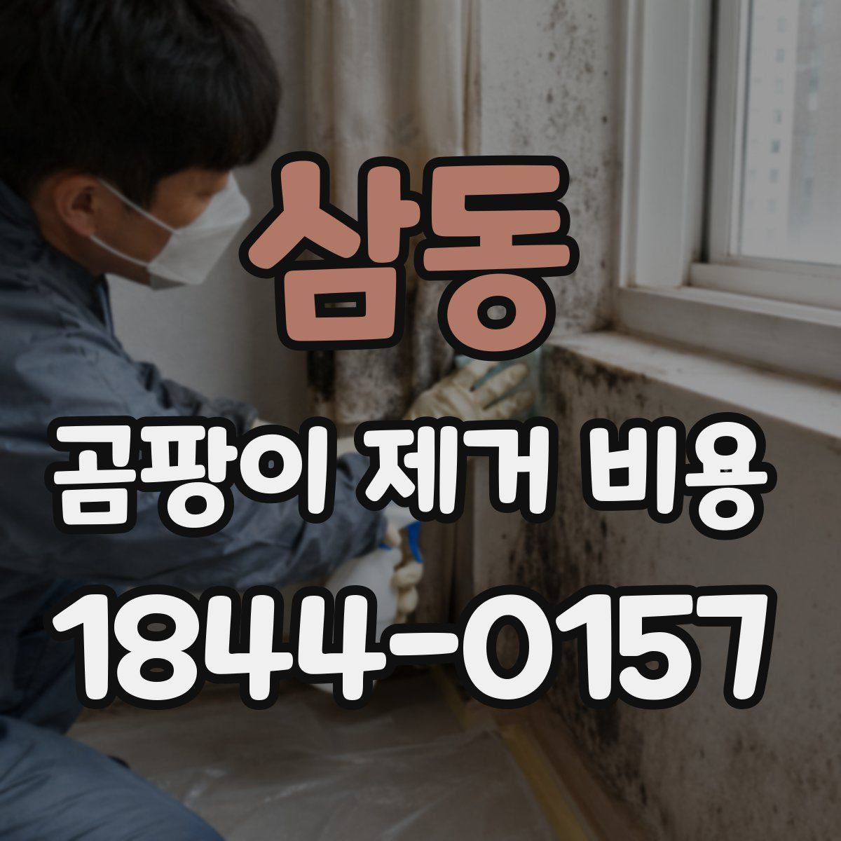 삼동 곰팡이 제거 비용