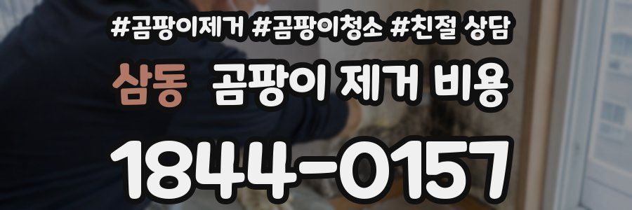 삼동 곰팡이 제거 비용