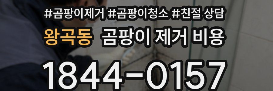 왕곡동 곰팡이 제거 비용