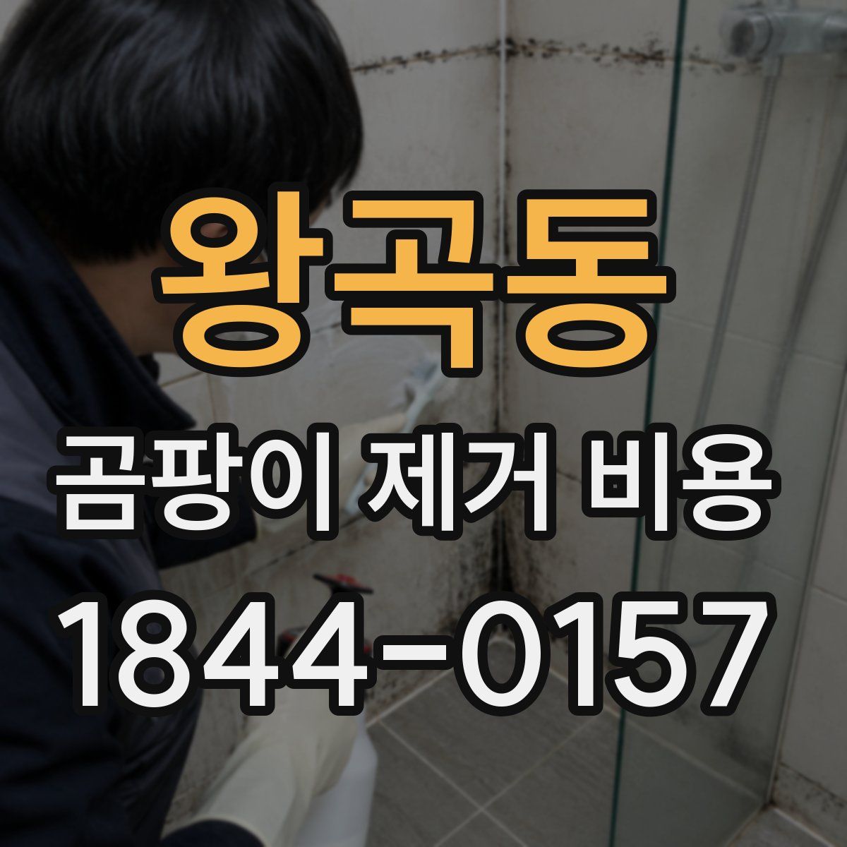 왕곡동 곰팡이 제거 비용