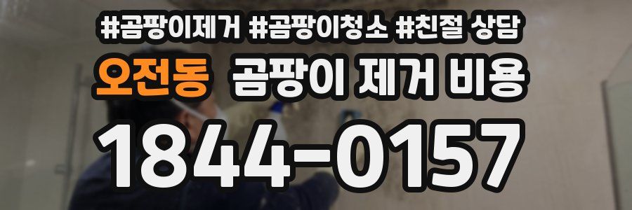 오전동 곰팡이 제거 비용