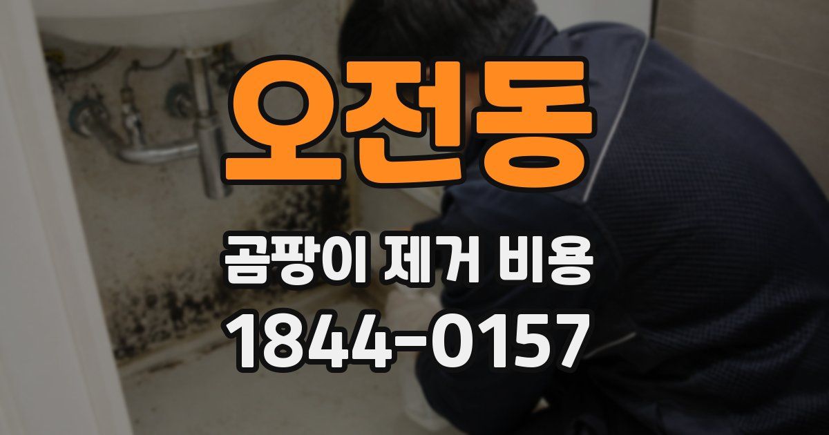오전동 곰팡이 제거 비용