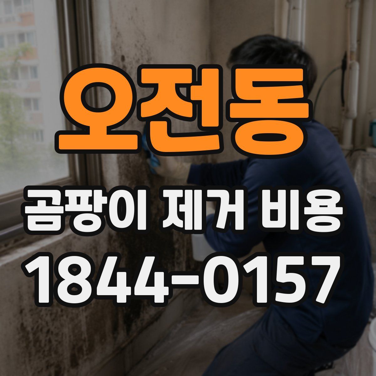 오전동 곰팡이 제거 비용