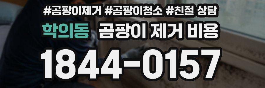 학의동 곰팡이 제거 비용