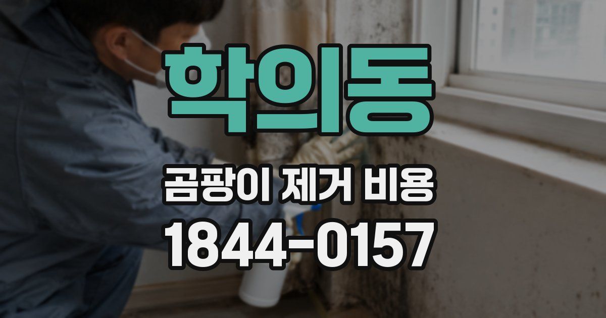 학의동 곰팡이 제거 비용