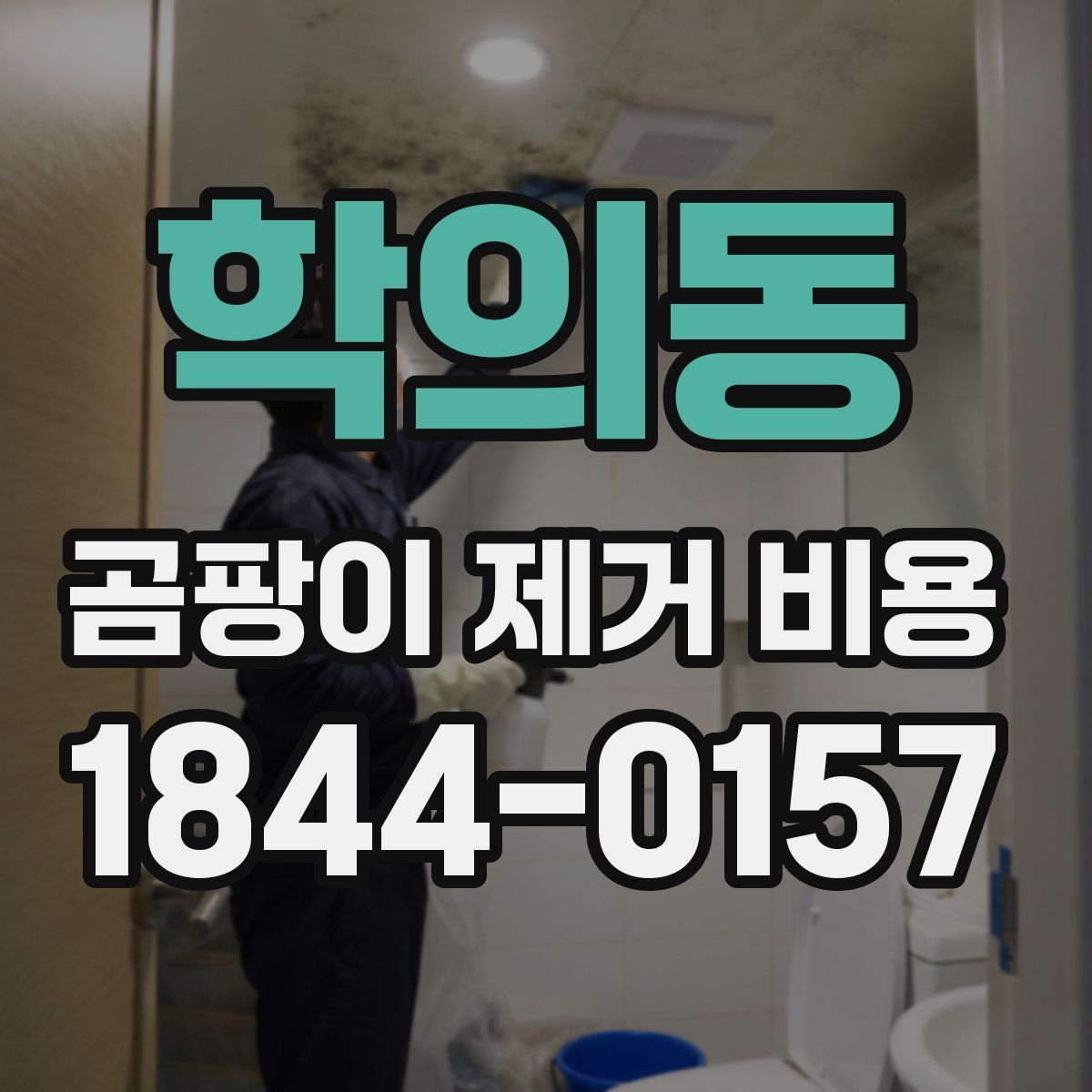 학의동 곰팡이 제거 비용