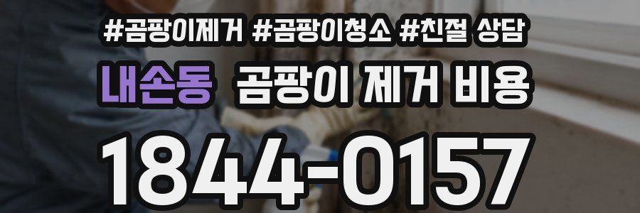 내손동 곰팡이 제거 비용